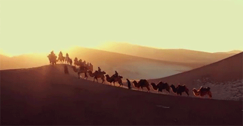 1566787439139825.gif 动图1.gif